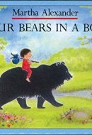 Four Bears in a Box