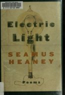 Electric Light Poems