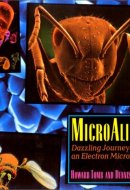 Microaliens Dazzling Journeys with an Electron Microscope