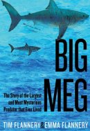 Big Meg The Story of the Largest and Most Mysterious Predator That Ever Lived