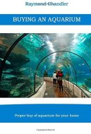 Buying an Aquarium Proper Buy of Aquarium for Your Home