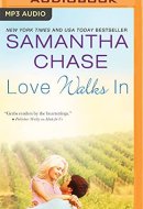 Love Walks In (The Shaughnessy Brothers)