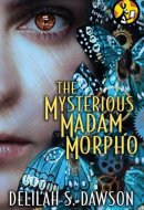 The Mysterious Madam Morpho
