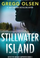 Stillwater Island An Absolutely Gripping Mystery Suspense Thriller