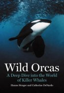 Wild Orcas A Deep Dive Into the World of Killer Whales