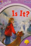 Oxford Reading Tree: Stage 1+: More Songbirds Phonics Is It?