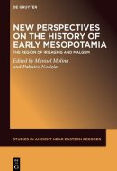New Perspectives on the History of Early Mesopotamia - The Region of Irisagrig and Malgum
