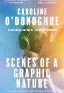 Scenes of a Graphic Nature 'A perfect page-turner' (Dolly Alderton) from the bestselling author of The Rachel Incident