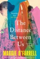The Distance Between Us The Sunday Times Bestseller from the Author of Hamnet
