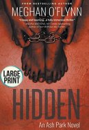 Hidden Large Print