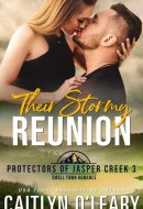 Their Stormy Reunion