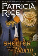 Shelter From the Storm Rogues and Desperadoes #3