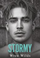 Stormy: An MM Romance
