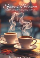 Spaces Betweenn: Twenty Tender Romance Stories