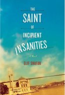 The Saint of Incipient Insanities