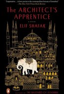 The Architect's Apprentice