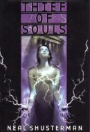 Thief of Souls Book Two In The Star Shards Chronicles